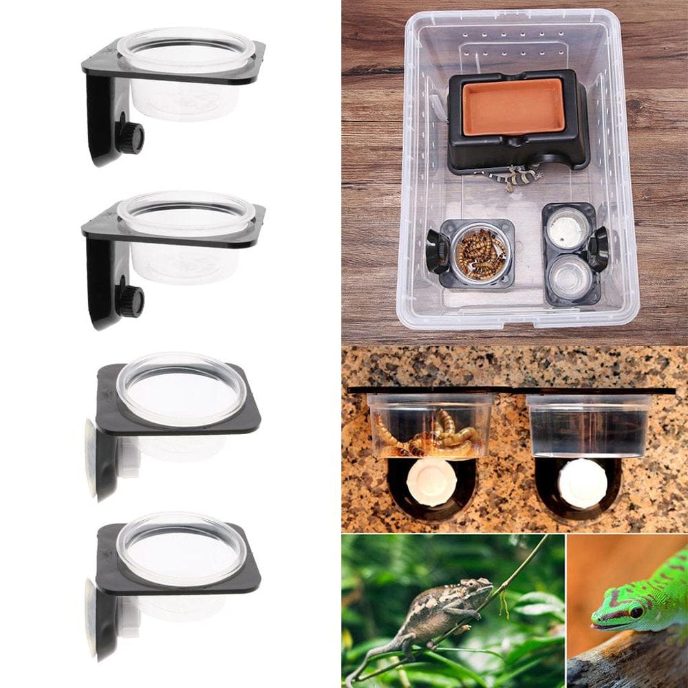 2Pcs Feeder for Water for Gecko Amphibian Reptile Turtle- Animals & Pet Supplies > Pet Supplies > Reptile & Amphibian Supplies > Reptile & Amphibian Food Menolana   