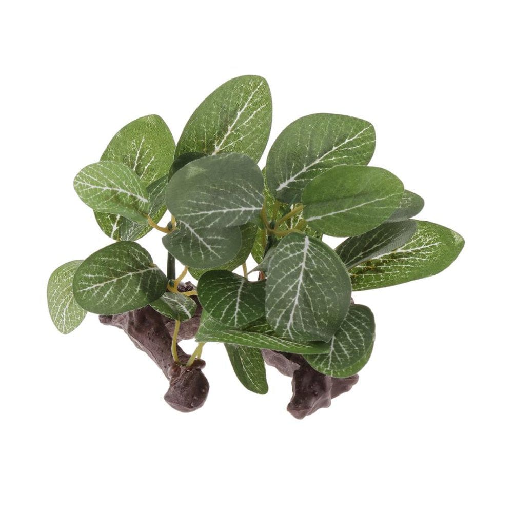 2Pcs Pet Reptile Terrarium Plant Decor for Amphibians Pet Supplies Animals & Pet Supplies > Pet Supplies > Reptile & Amphibian Supplies > Reptile & Amphibian Habitat Accessories Baoblaze   