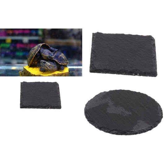 2Pcs Reptile Amphibians Horned Frogs Food Animals & Pet Supplies > Pet Supplies > Reptile & Amphibian Supplies > Reptile & Amphibian Food DYNWAVE   