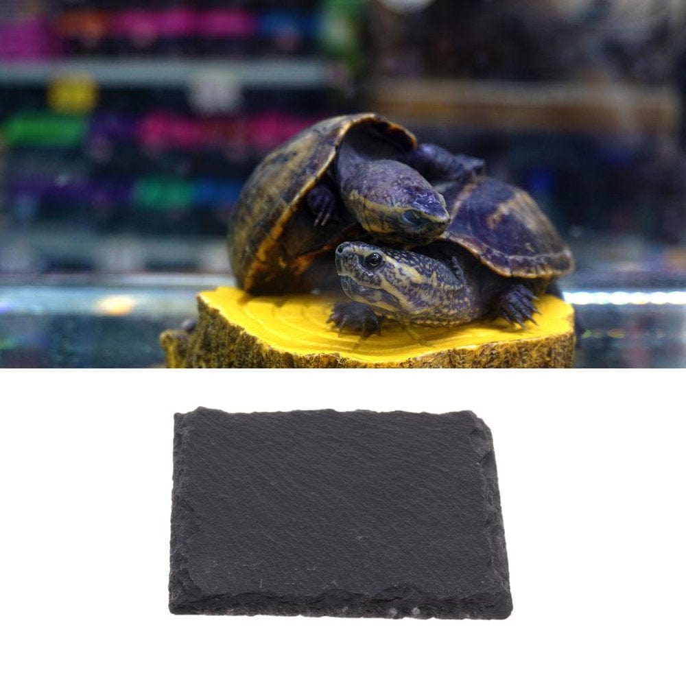 2Pcs Reptile Amphibians Horned Frogs Food Animals & Pet Supplies > Pet Supplies > Reptile & Amphibian Supplies > Reptile & Amphibian Food DYNWAVE   