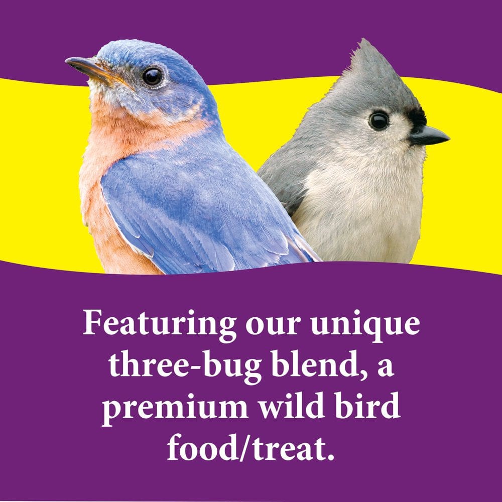 3-D Pet Products Premium Bugs N' Berries Wild Bird Food Block, 12 Oz. Animals & Pet Supplies > Pet Supplies > Bird Supplies > Bird Food D & D Commodities   