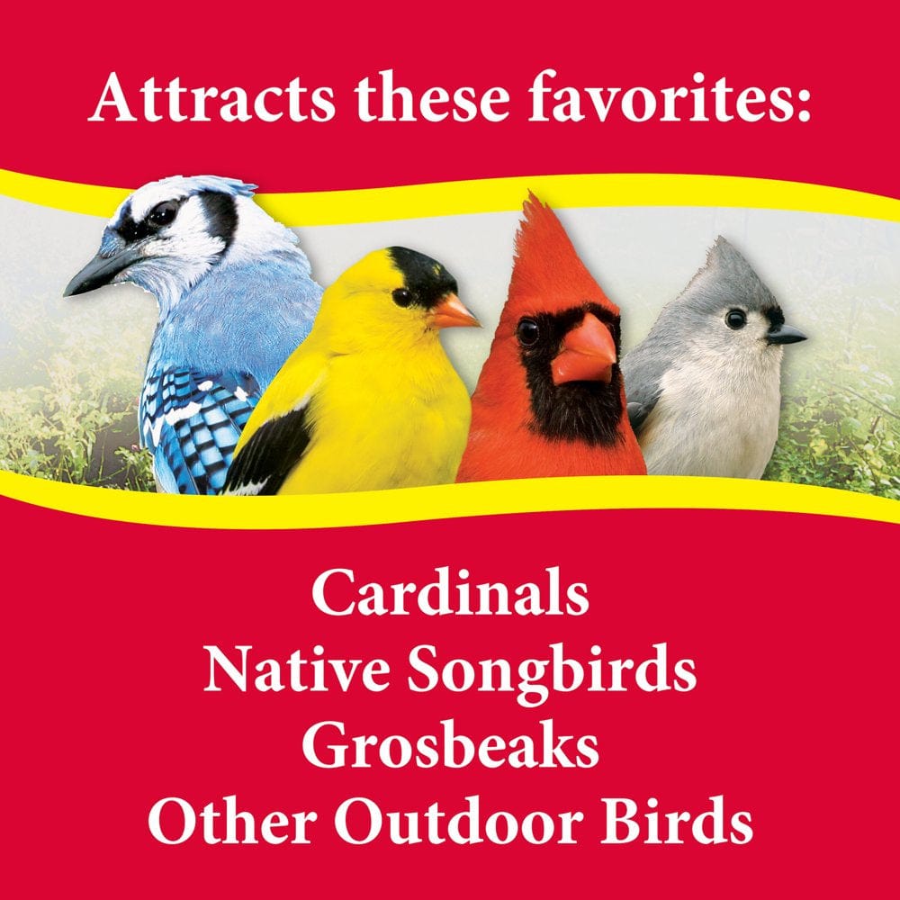 3-D Pet Products Premium Cardinal Blend Wild Bird Food, 5 Lb. Animals & Pet Supplies > Pet Supplies > Bird Supplies > Bird Food D & D Commodities   