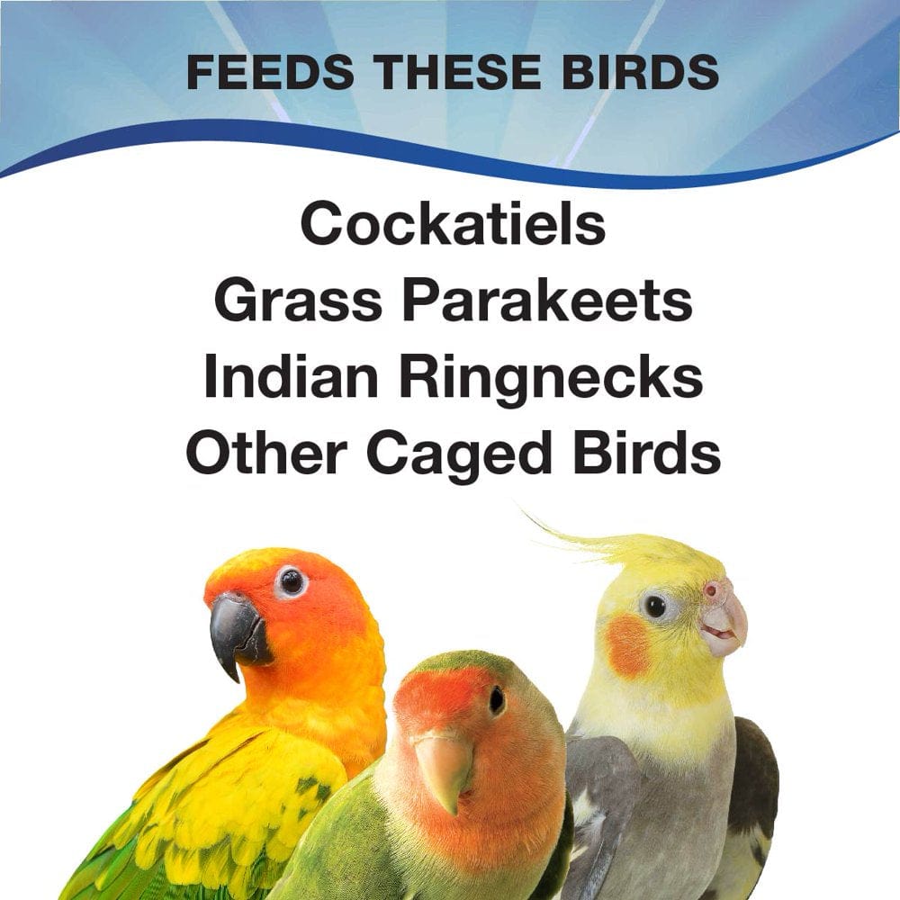 3-D Pet Products Premium Cockatiel Bird Food, Seeds, 4.5 Lb. Jar Animals & Pet Supplies > Pet Supplies > Bird Supplies > Bird Food D & D Commodities   