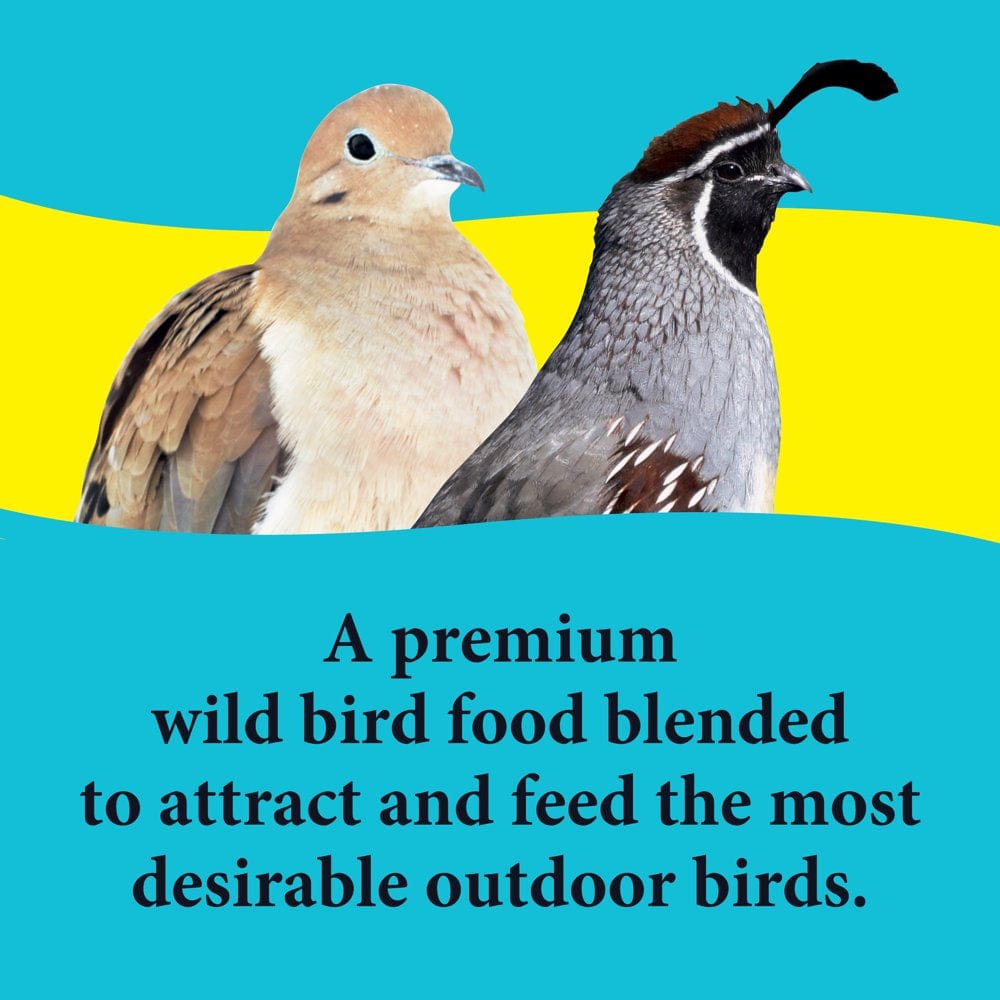 3-D Pet Products Premium Dove & Quail Wild Bird Food, 6 Lb. Animals & Pet Supplies > Pet Supplies > Bird Supplies > Bird Food D & D Commodities   