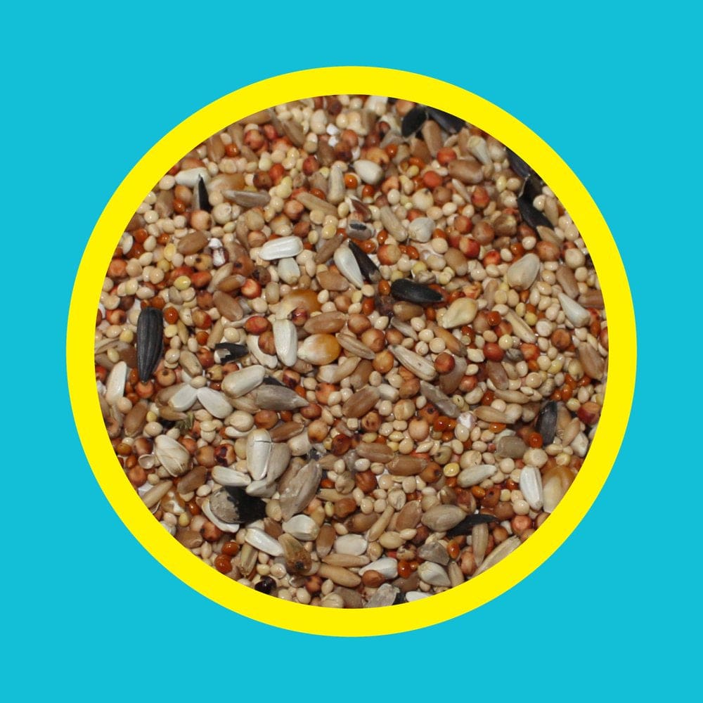 3-D Pet Products Premium Dove & Quail Wild Bird Food, 6 Lb. Animals & Pet Supplies > Pet Supplies > Bird Supplies > Bird Food D & D Commodities   