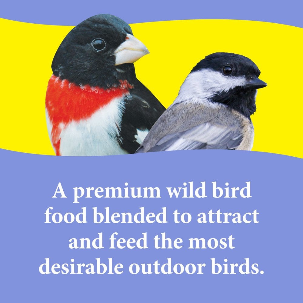 3-D Pet Products Premium Nut N' Berry Blend Wild Bird Food, 14 Lb. Animals & Pet Supplies > Pet Supplies > Bird Supplies > Bird Food D & D Commodities   