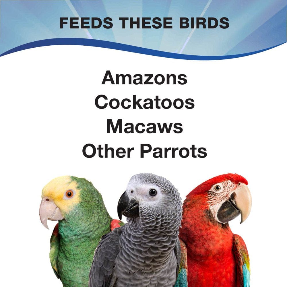 3-D Pet Products Premium Parrot Bird Food, Seeds, 4 Lb. Jar Animals & Pet Supplies > Pet Supplies > Bird Supplies > Bird Food D & D Commodities   