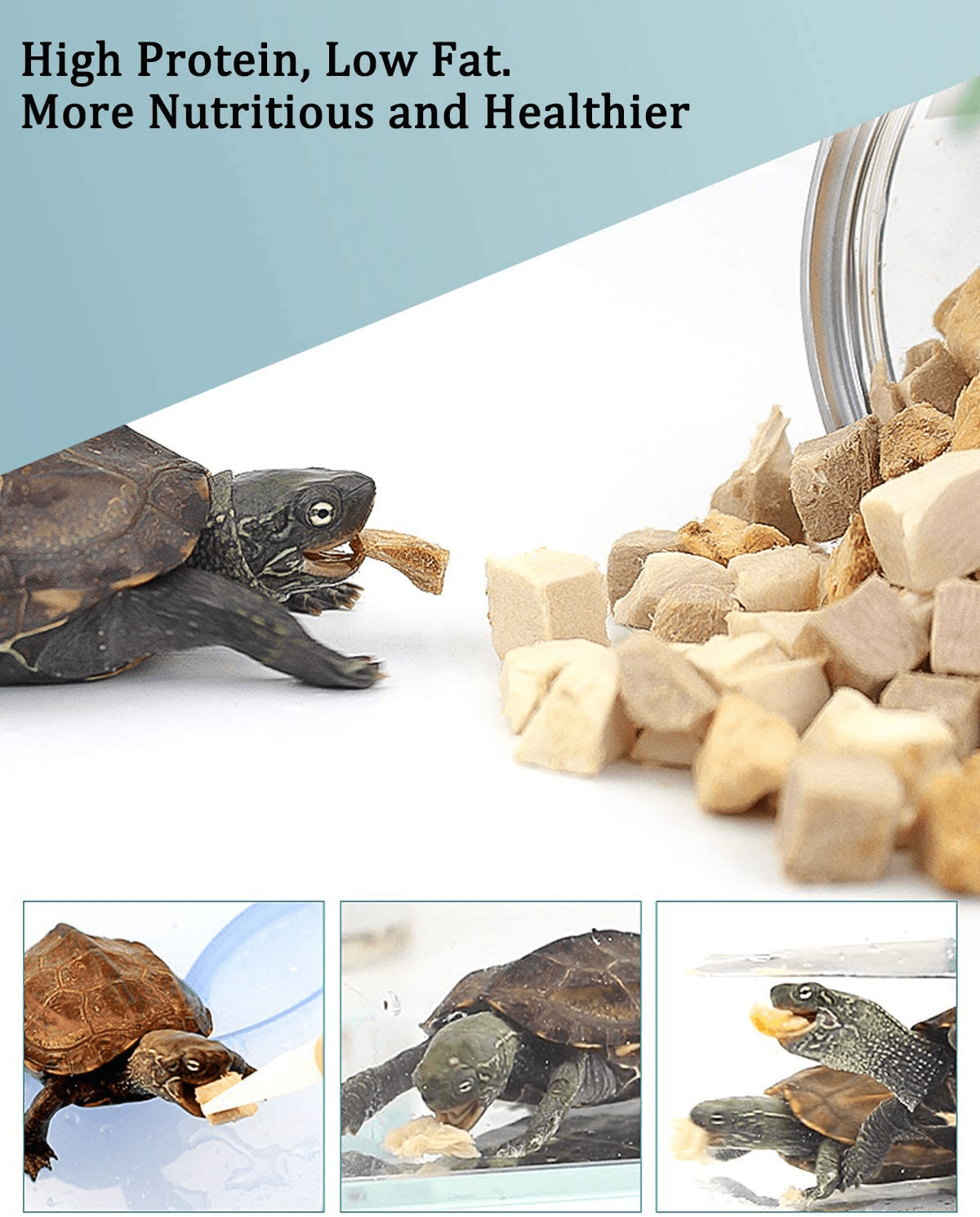 3 in 1 Meat Turtle Food - Chicken & Duck & Fish Meat Natural Freeze Dried Human-Grade Turtle Treats Animals & Pet Supplies > Pet Supplies > Reptile & Amphibian Supplies > Reptile & Amphibian Food BNYEE   