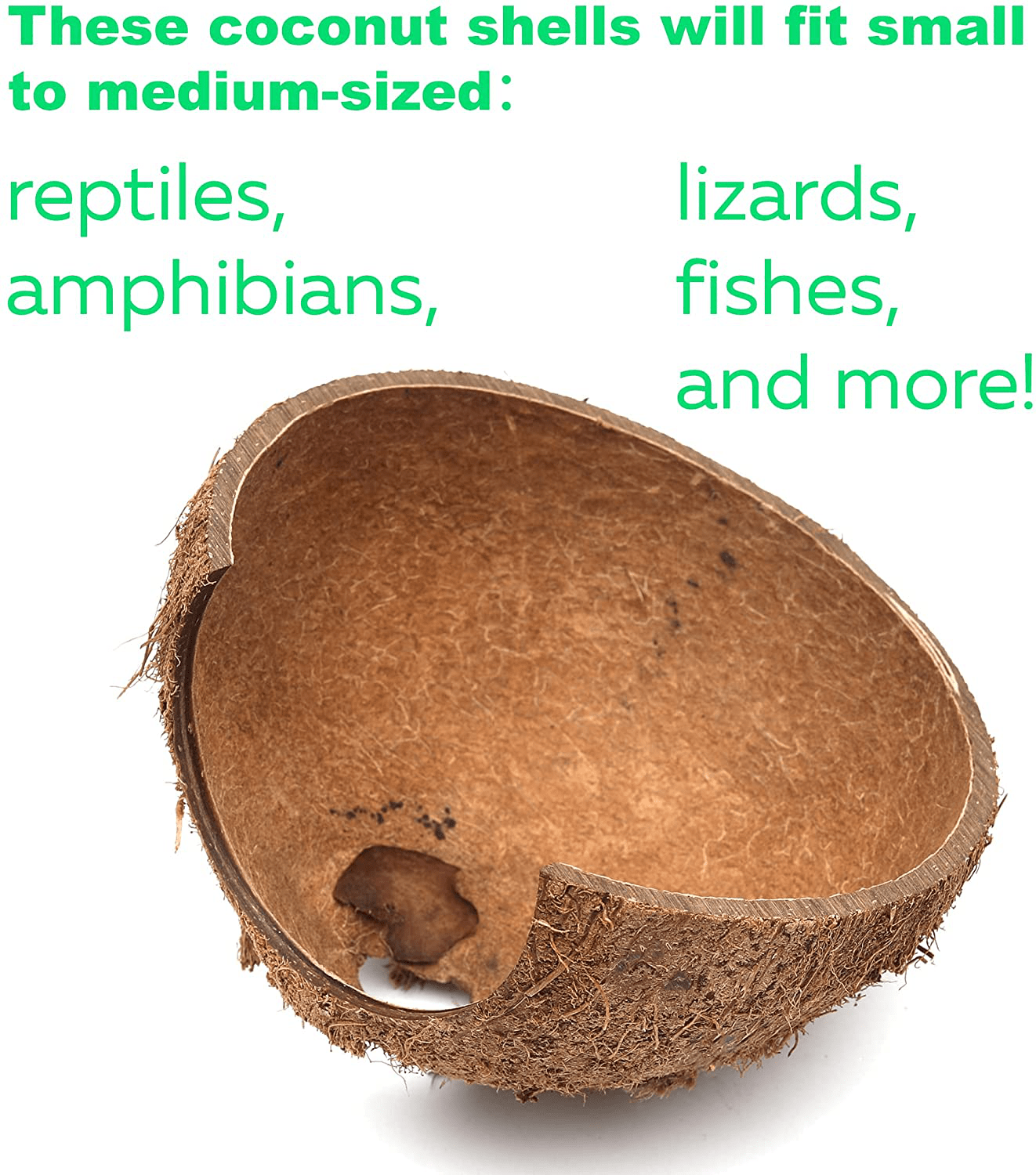 3-Pack Coconut Shell Hideouts for Reptiles Amphibians (Fishes Bearded Dragons Hamster Tortoise Hermit Crab) Animals & Pet Supplies > Pet Supplies > Reptile & Amphibian Supplies > Reptile & Amphibian Substrates TonGass   