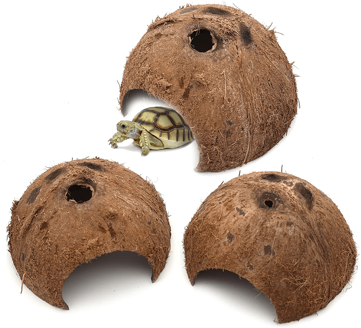 3-Pack Coconut Shell Hideouts for Reptiles Amphibians (Fishes Bearded Dragons Hamster Tortoise Hermit Crab) Animals & Pet Supplies > Pet Supplies > Reptile & Amphibian Supplies > Reptile & Amphibian Habitat Accessories TonGass   