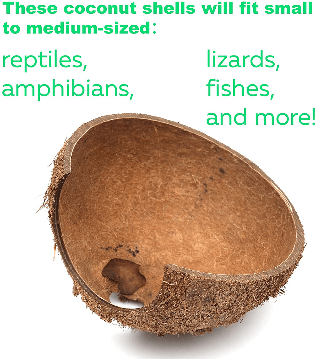 3-Pack Coconut Shell Hideouts for Reptiles Amphibians (Fishes Bearded Dragons Hamster Tortoise Hermit Crab) Animals & Pet Supplies > Pet Supplies > Reptile & Amphibian Supplies > Reptile & Amphibian Habitat Accessories TonGass   