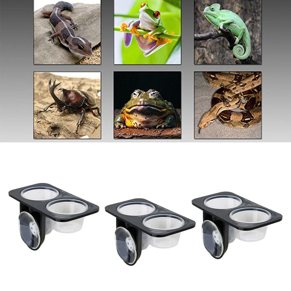 3 PCS Reptile Amphibians Chameleon Feeding Ledge Bowls Double Dish With Animals & Pet Supplies > Pet Supplies > Reptile & Amphibian Supplies > Reptile & Amphibian Food DYNWAVE   