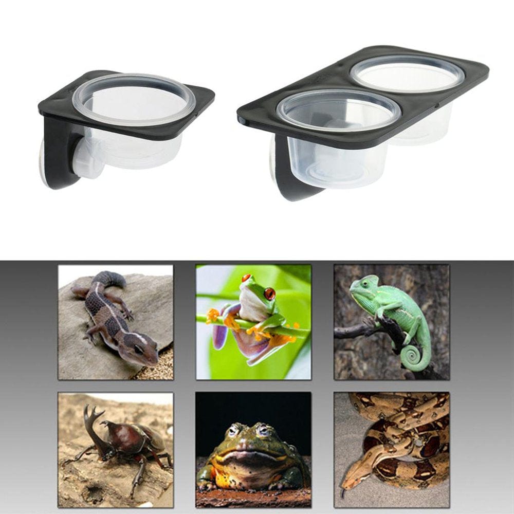 3 PCS Reptile Amphibians Chameleon Feeding Ledge Bowls Double Dish With Animals & Pet Supplies > Pet Supplies > Reptile & Amphibian Supplies > Reptile & Amphibian Food DYNWAVE   