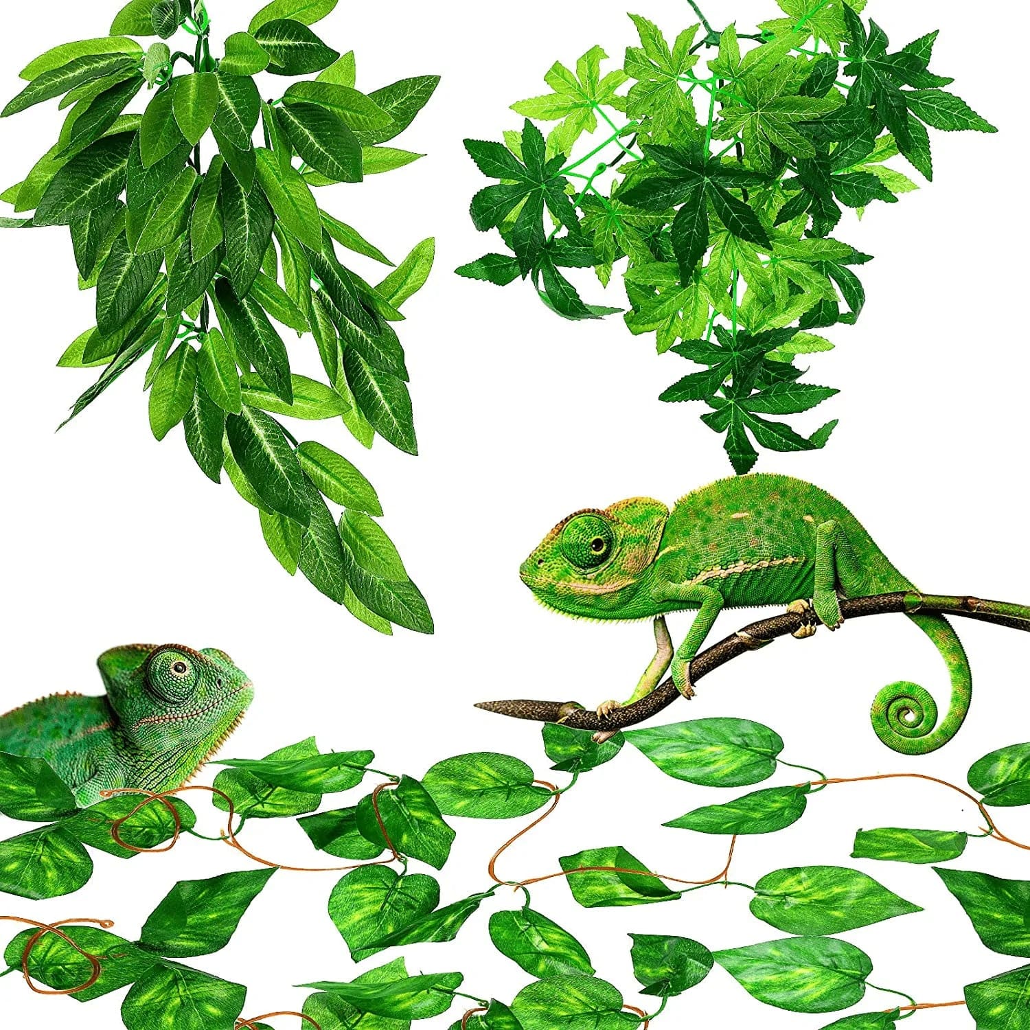 3 Pieces 12 Inch Reptile Plants Set Artificial Hanging Silk Terrarium Plant Artificial Money Plant Hanging Vines with Suction Cups for Lizards Bearded Dragons Snake Geckos Hermit Crab Tank Decor Animals & Pet Supplies > Pet Supplies > Reptile & Amphibian Supplies > Reptile & Amphibian Habitat Accessories Syhood   