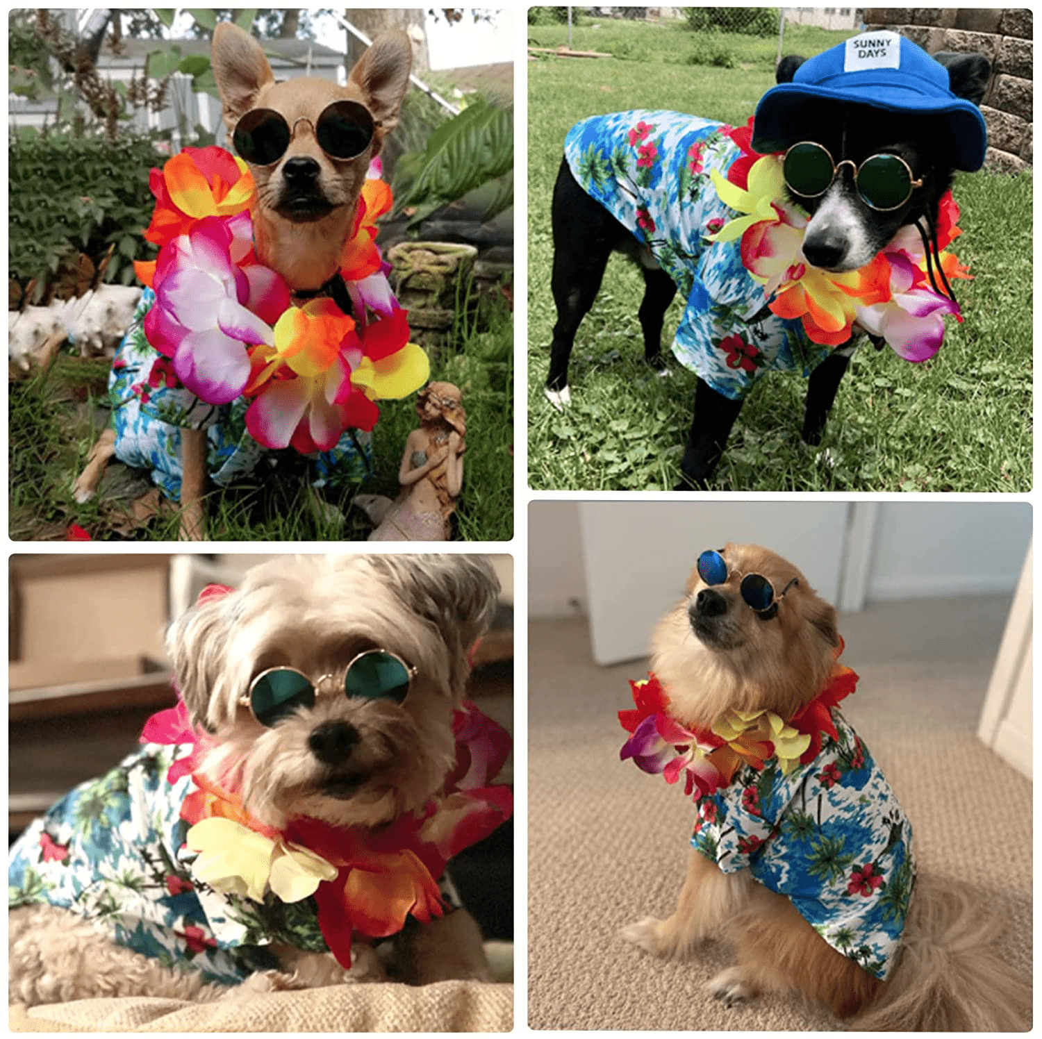 Hawaiian dog costume deals