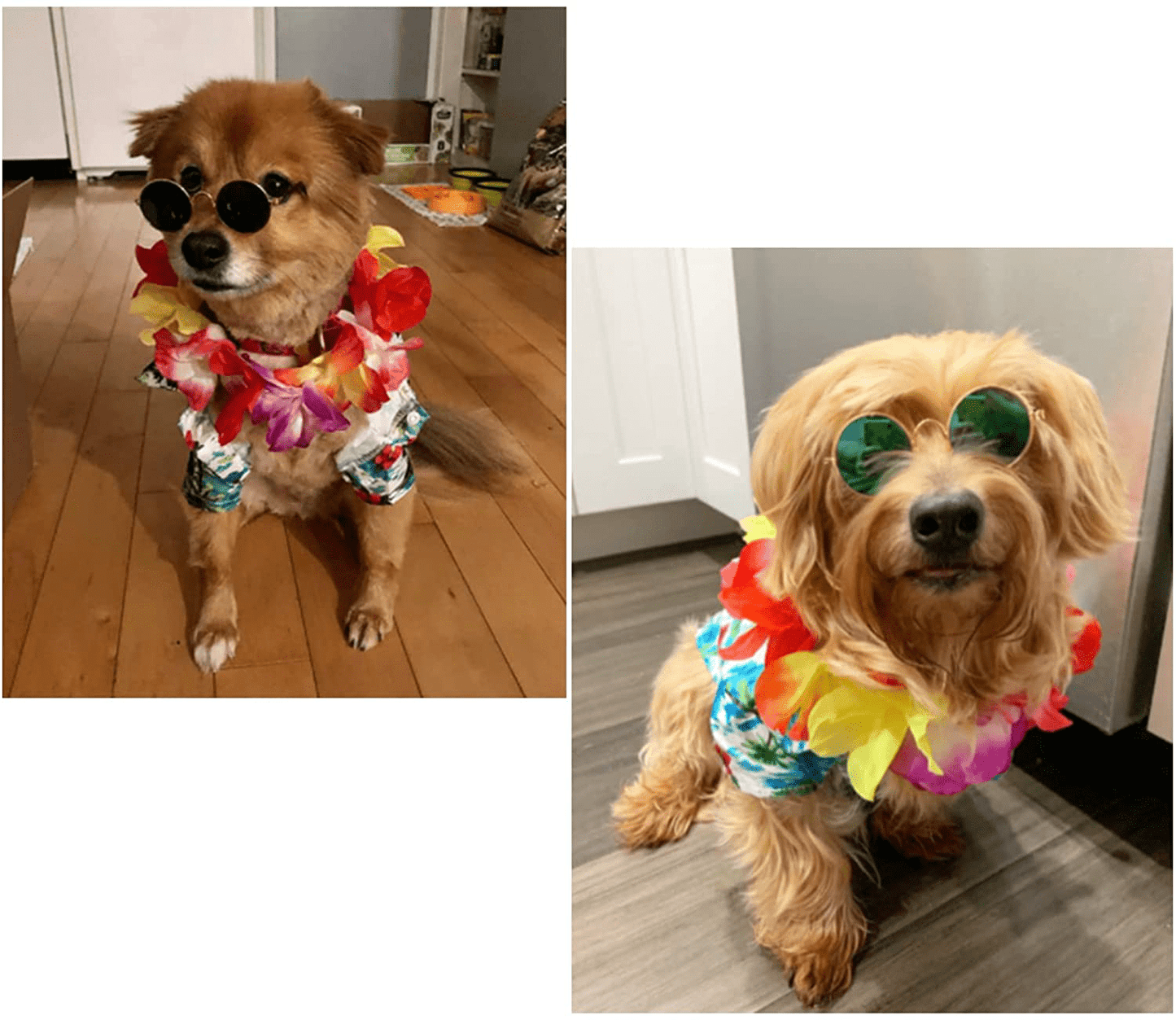 3 Pieces Pet Dog Hawaiian Costume, Includes Puppy Dog'S Cool T-Shirts Summer Clothes, Funny Cute Dog Retro Fashion Sunglasses and a Colorful Wreath for Small to Medium Dog Animals & Pet Supplies > Pet Supplies > Dog Supplies > Dog Apparel Geyoga   