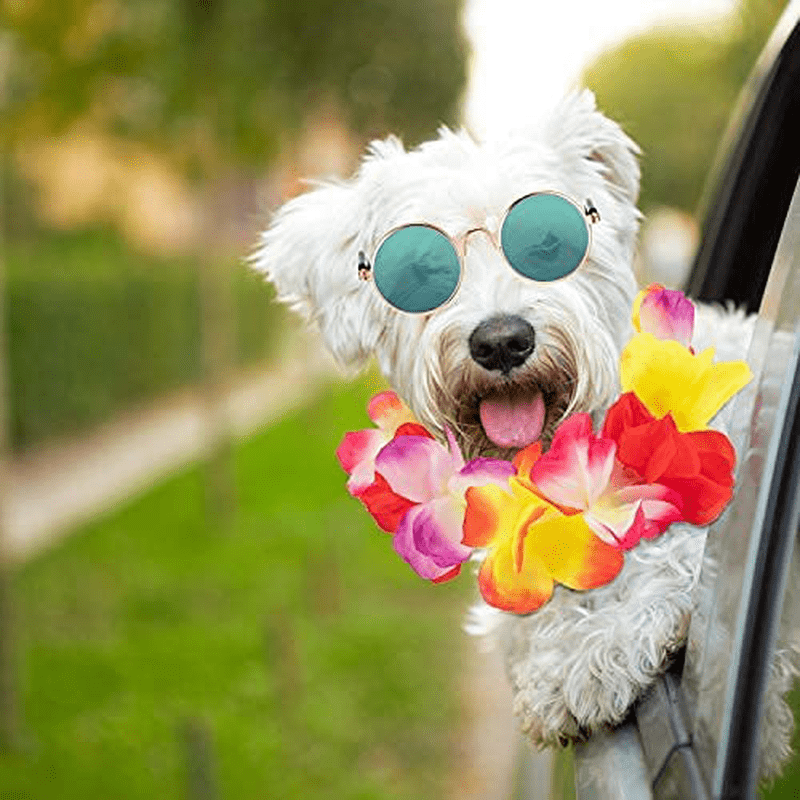 3 Pieces Pet Dog Hawaiian Costume, Includes Puppy Dog'S Cool T-Shirts Summer Clothes, Funny Cute Dog Retro Fashion Sunglasses and a Colorful Wreath for Small to Medium Dog Animals & Pet Supplies > Pet Supplies > Dog Supplies > Dog Apparel Geyoga   