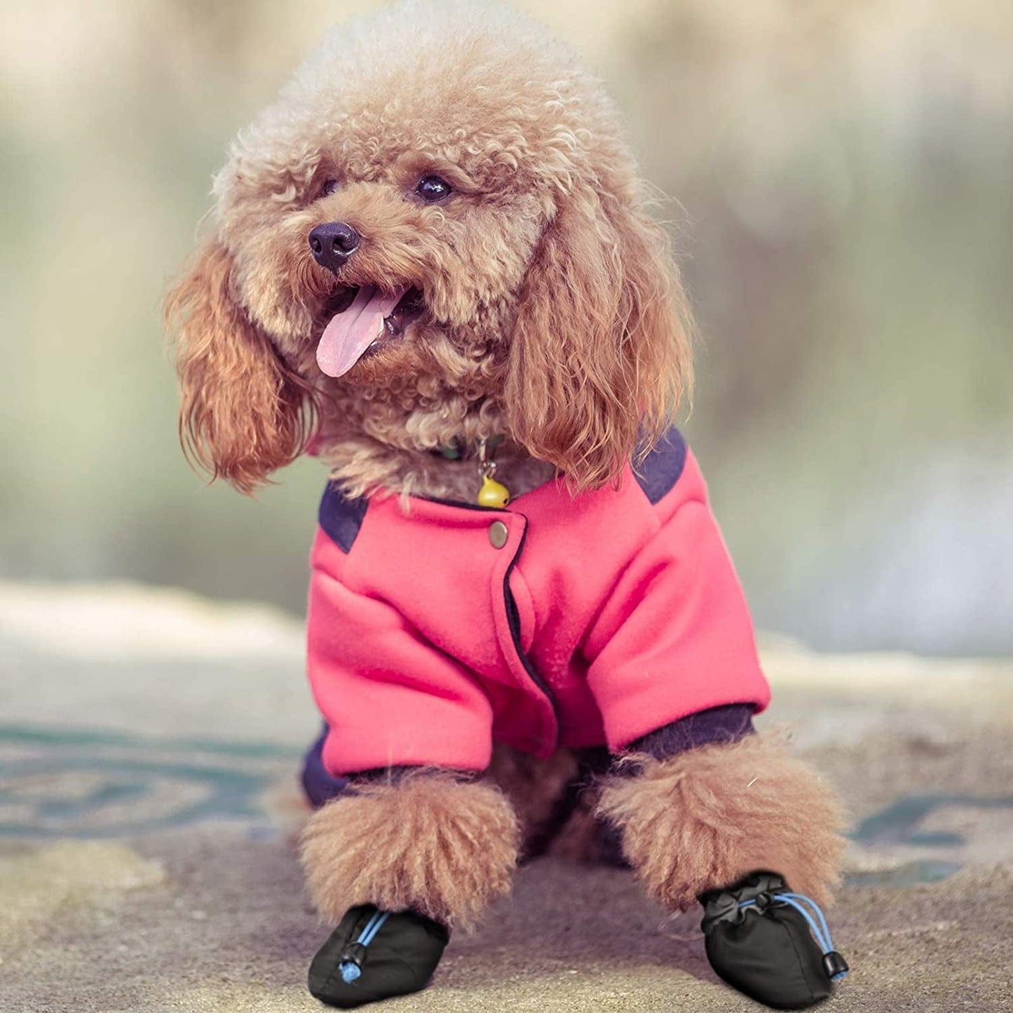 3 Sets Waterproof Dog Shoes Adjustable Drawstring Dog Boots Rain Snow Plush Pet Booties Anti-Slip Dog Paw Protector Breathable Dog Boots with Soft Sole for Small Dog Puppy (4) Animals & Pet Supplies > Pet Supplies > Dog Supplies > Dog Apparel Weewooday   