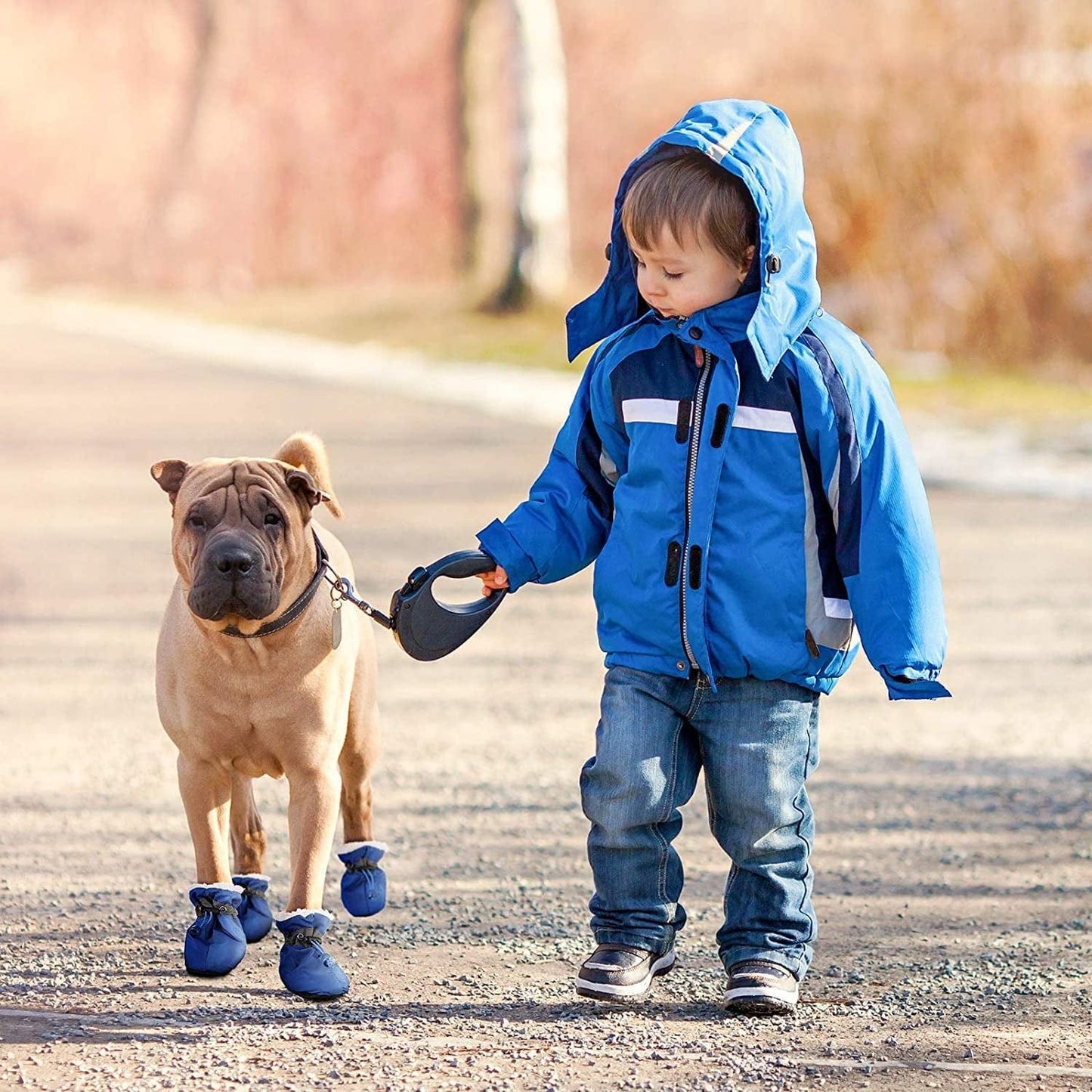 3 Sets Waterproof Dog Shoes Adjustable Drawstring Dog Boots Rain Snow Plush Pet Booties Anti-Slip Dog Paw Protector Breathable Dog Boots with Soft Sole for Small Dog Puppy (4) Animals & Pet Supplies > Pet Supplies > Dog Supplies > Dog Apparel Weewooday   