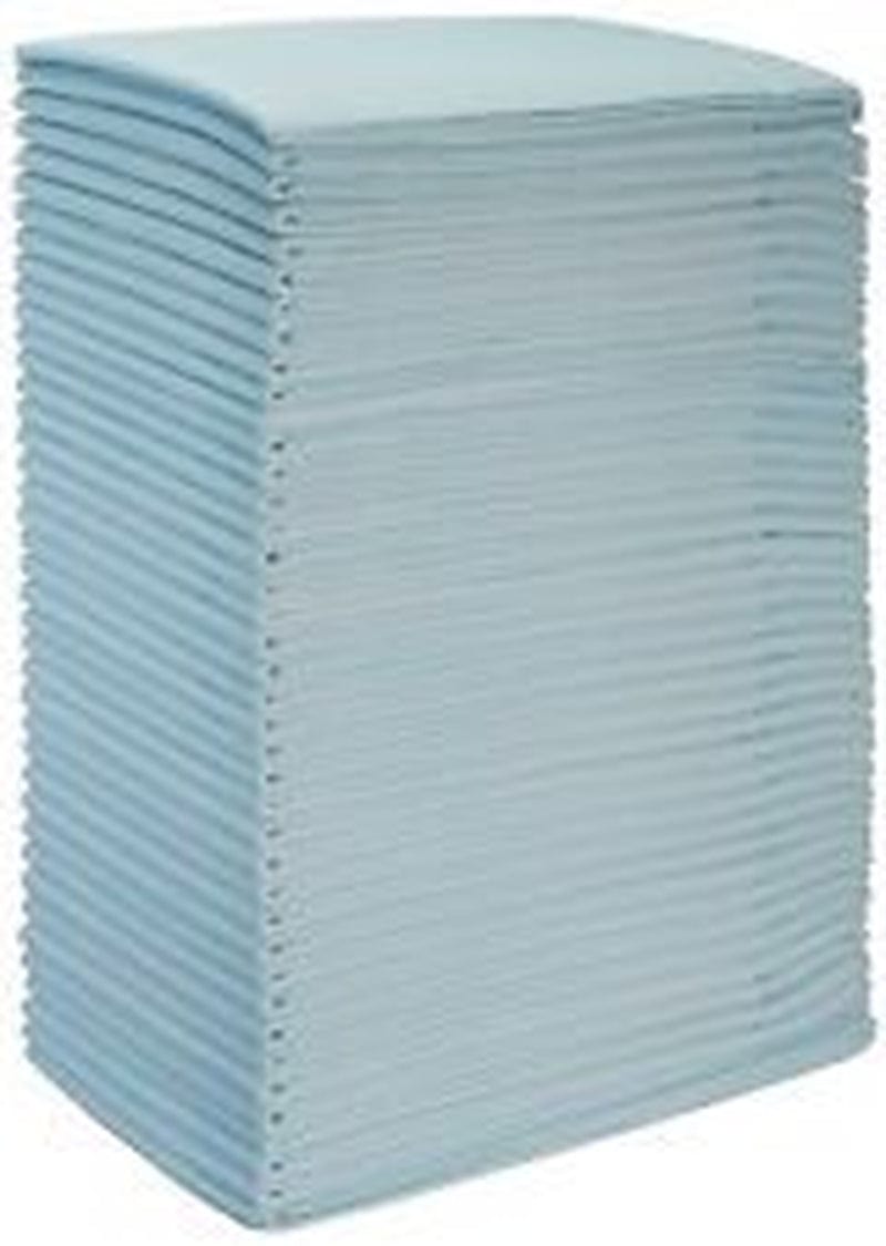 300-17X24" CHEAP Lightweight Economy Puppy Dog 3-Ply Training Piddle Pee Pads Animals & Pet Supplies > Pet Supplies > Dog Supplies > Dog Apparel PooPeePads 23" x 36"  