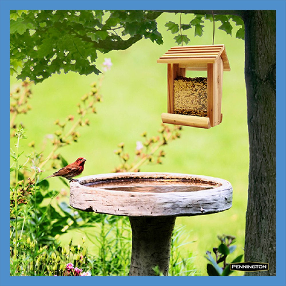 Pennington Select Wild Finch Blend, Wild Bird Seed and Feed, 10 Pounds Animals & Pet Supplies > Pet Supplies > Bird Supplies > Bird Food CENTRAL GARDEN & PET COMPANY   