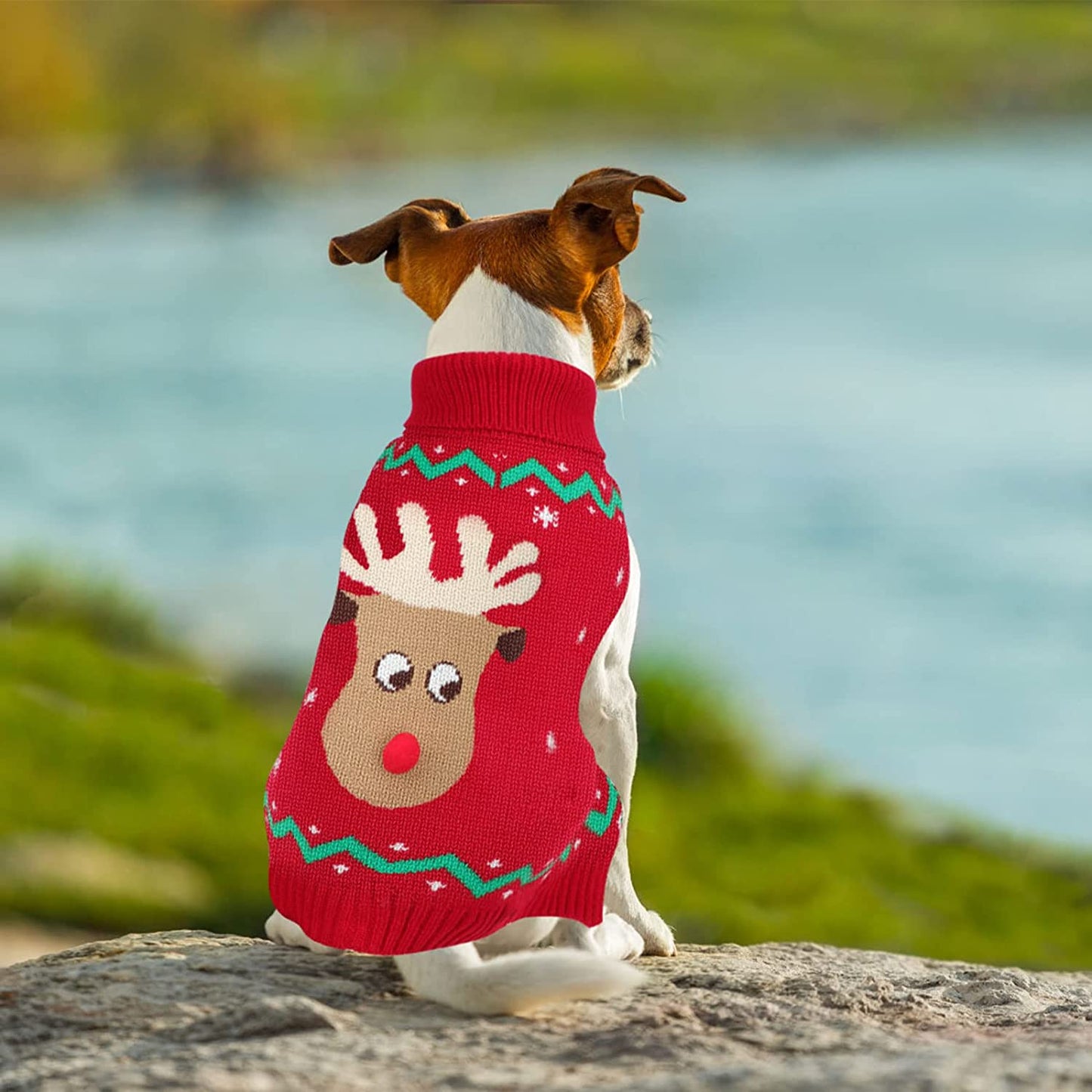 YUEPET Christmas Dog Sweaters Pullover, Reindeer Snowflake Christmas Dog Outfits with Leash Hole, Classic Turtleneck Dog Clothes for Medium Dogs(Sm) Animals & Pet Supplies > Pet Supplies > Dog Supplies > Dog Apparel YUEPET   