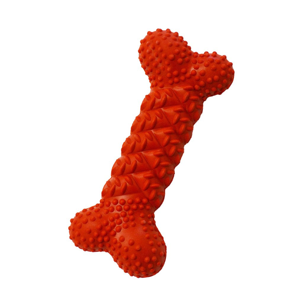 Nylabone Daily Dental Rubber Braid Bone for Dogs - up to 35 Lbs. Animals & Pet Supplies > Pet Supplies > Dog Supplies > Dog Toys Central Garden and Pet   