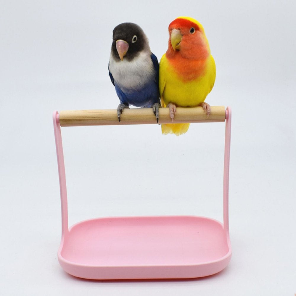 HOTYA Bird Cage Stand Parrot Training Perch Stands Playstand Playground Play Gym for Conures Parakeets Lovebirds Cockatiels Animals & Pet Supplies > Pet Supplies > Bird Supplies > Bird Gyms & Playstands HOTYA   