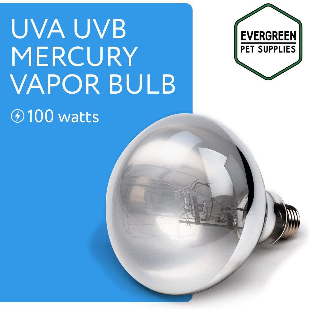 Evergreen Pet Supplies 100 Watt UVA UVB Mercury Vapor Bulb / Light / Lamp for Reptile and Amphibian Use - Excellent Source of Heat and Light for UV and Basking  Evergreen Pet Supplies   