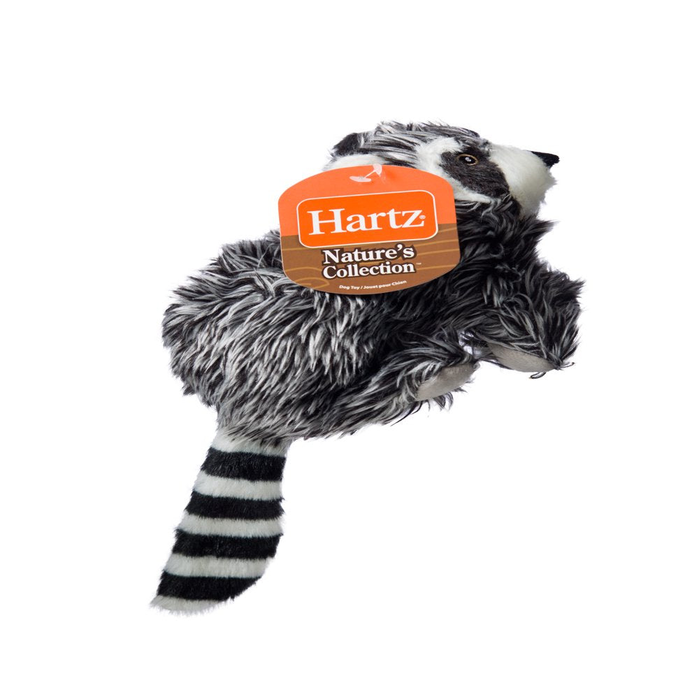 Hartz Nature'S Collection Animals Plush Dog Toys, Large (Style May Vary) Animals & Pet Supplies > Pet Supplies > Dog Supplies > Dog Toys Hartz Mountain Corp   