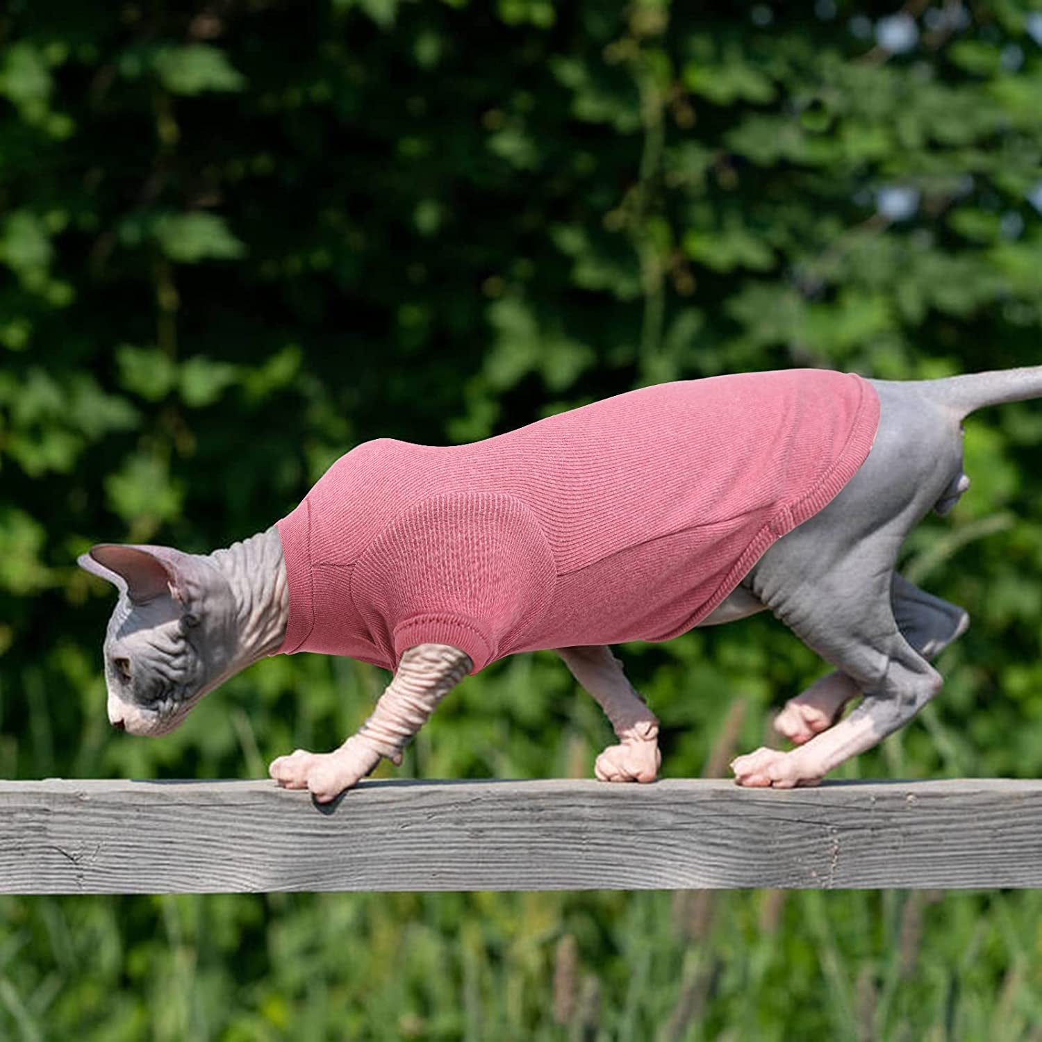 Dinosaur Design Sphynx Hairless Cat Clothes Cute Breathable Summer Cotton  Shirts Cat Costume Pet Clothes,Round Collar Kitten T-Shirts with Sleeves