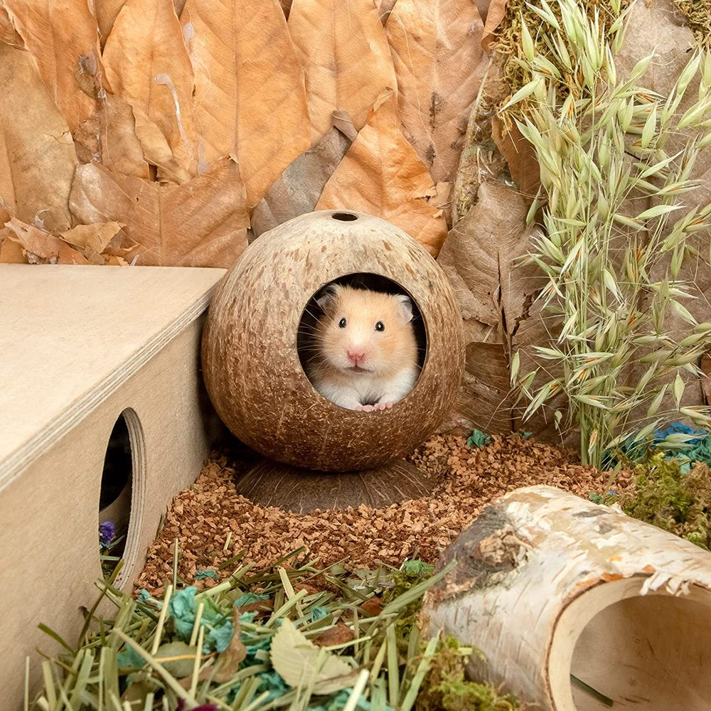 MGTOES02 Coconut Hut Hamster House Bed for Gerbils Mice Small Animal Cage Habitat Decor Animals & Pet Supplies > Pet Supplies > Small Animal Supplies > Small Animal Habitats & Cages MGTOES02   