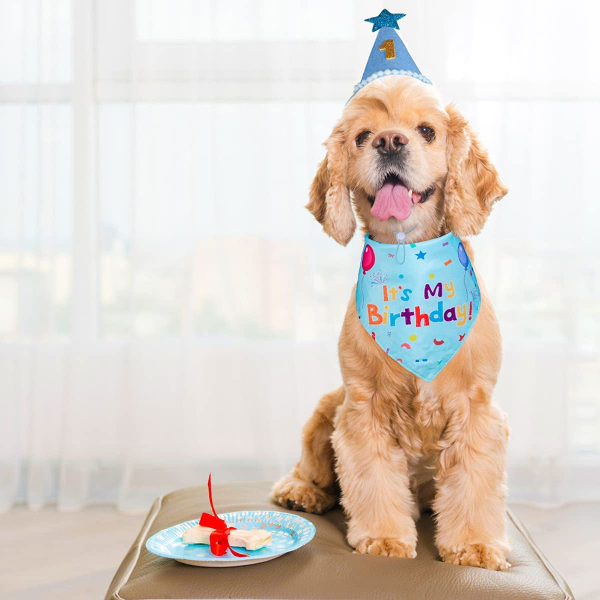 Yicostar Dog Birthday Party Supplies, Dog Birthday Bandana Scarf Dog Puppy Birthday Hat with Numbers for Small Medium Large Dogs Pet Animals & Pet Supplies > Pet Supplies > Dog Supplies > Dog Apparel Yicostar   