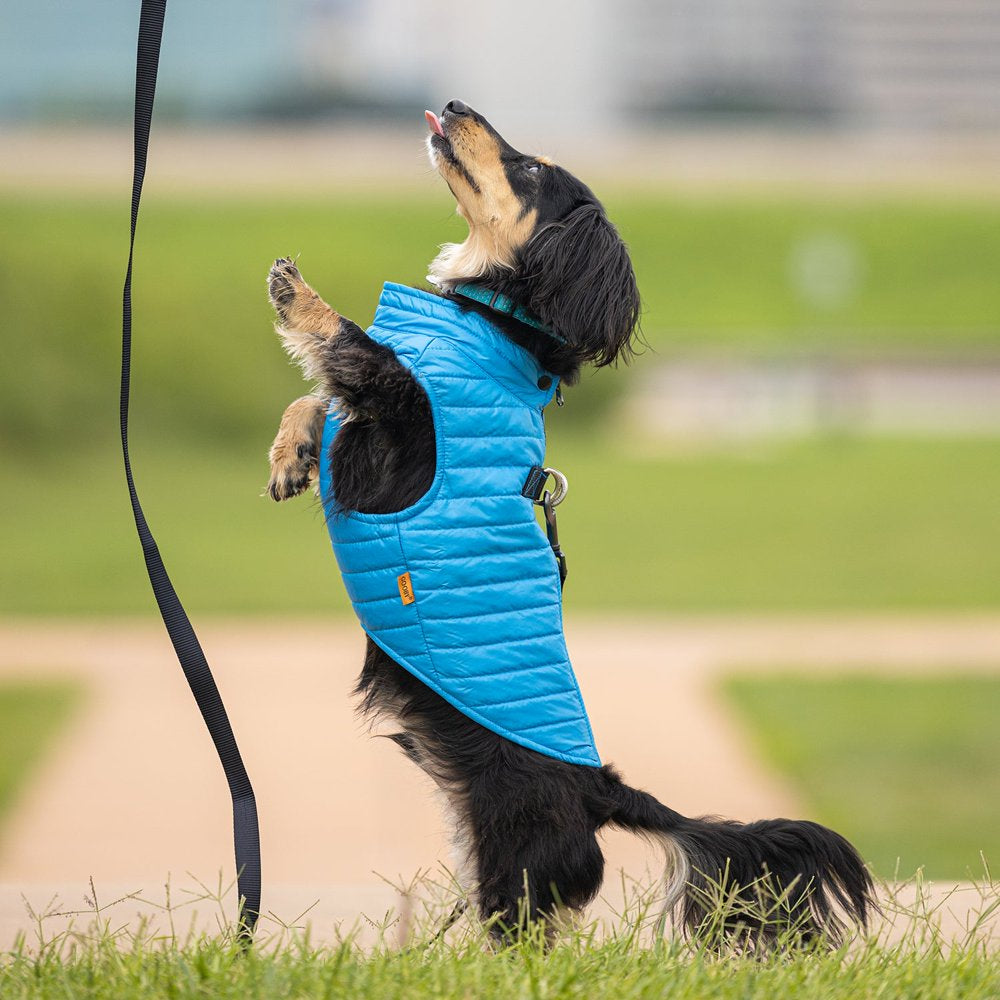 Gooby Puffer Vest Dog Jacket - Blue, Large - Ultra Thin Zip up Wind Breaker with Dual D Ring Leash Water Resistant Small Dog Sweater Animals & Pet Supplies > Pet Supplies > Dog Supplies > Dog Apparel Gooby   