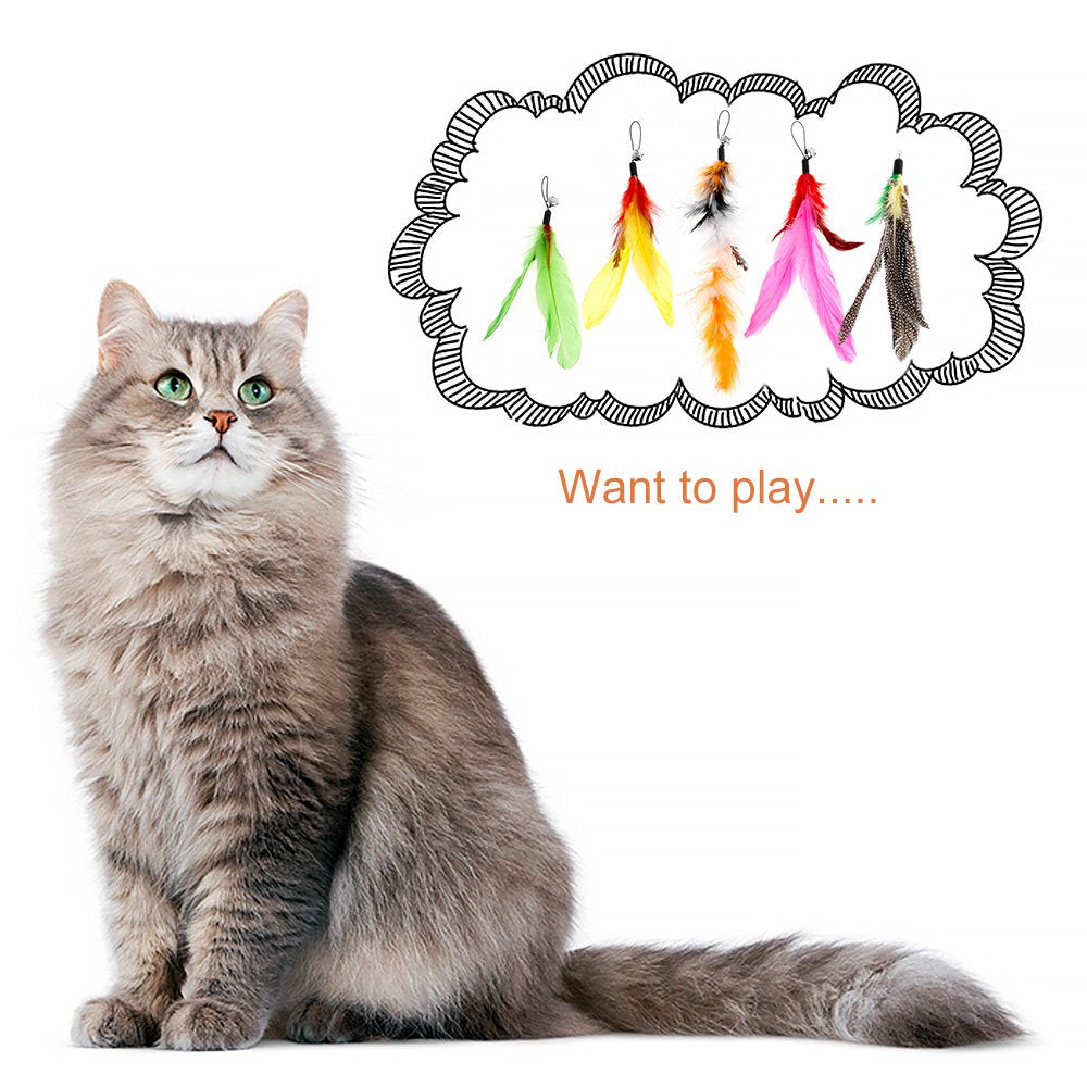 ODOMY Cat Toys Interactive Cat Feather Wand, Kitten Toys Retractable Cat Wand Toy 12Pcs Natural Feather Teaser Replacements Telescopic Cat Fishing Pole Toy for Indoor Kitty Old Cat Exercise Animals & Pet Supplies > Pet Supplies > Cat Supplies > Cat Toys ODOMY   