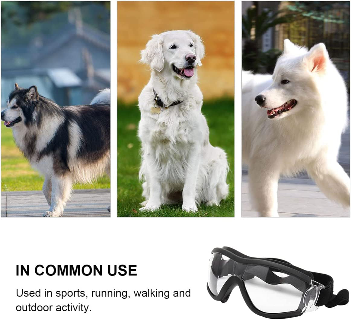 TEHAUX Dog Goggles Dog Sunglasses Snowproof Windproof Dog Glasses Pet Goggles Dog Eye Protection Goggles with Adjustable Strap Sunglasses for Medium Large Dogs (Transparent) Animals & Pet Supplies > Pet Supplies > Dog Supplies > Dog Apparel TEHAUX   