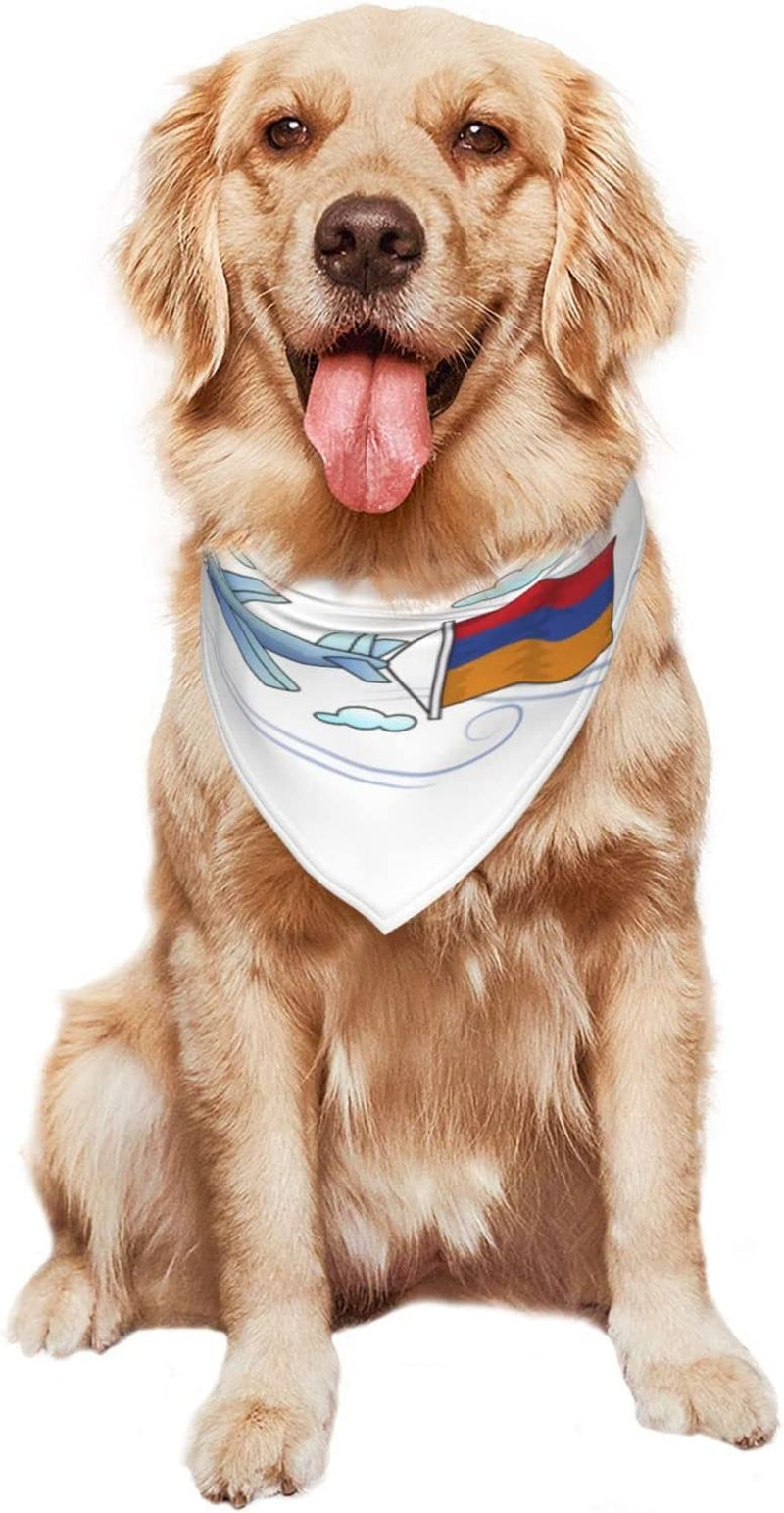 Airplane with Armenian Flag Pet Dog and Cat Decorative Triangle Scarf,Dog Bandana,Breathable and Stain Resistant. Animals & Pet Supplies > Pet Supplies > Dog Supplies > Dog Apparel ZALTAS   