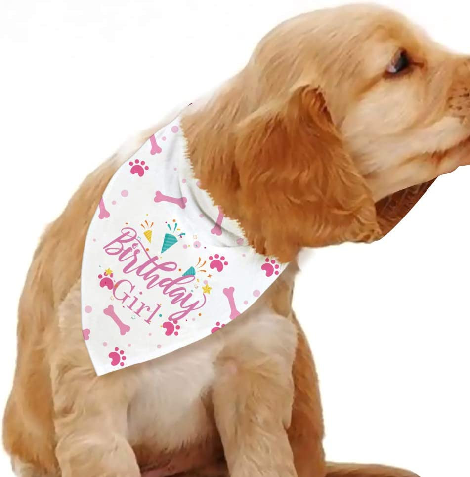 Dog Birthday Bandana, Birthday Girl Dog Birthday,Dog Party Supplies, Dog Birthday Photo Prop, Dog Scarf for Medium Large Dog Animals & Pet Supplies > Pet Supplies > Dog Supplies > Dog Apparel Blue Leaves   