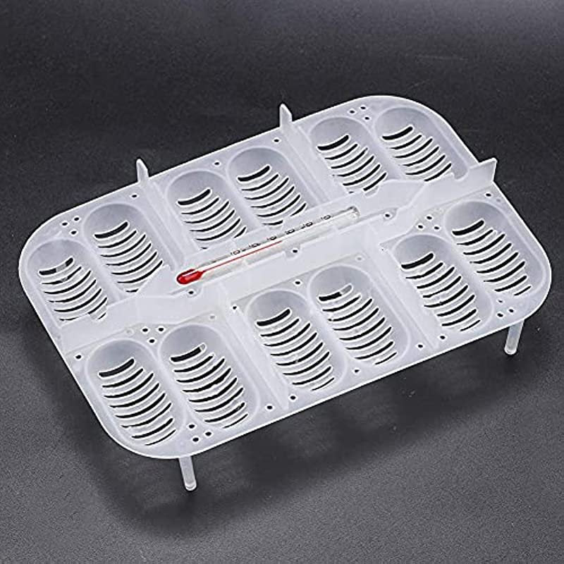 Reptile Egg Breeding Hatchery Box Transparent Plastic Amphibian Hatching Box Case Tray Breeding Incubator Hatching Tray for Snake Lizards Reptiles with Thermometer Animals & Pet Supplies > Pet Supplies > Reptile & Amphibian Supplies > Reptile & Amphibian Substrates Invento   