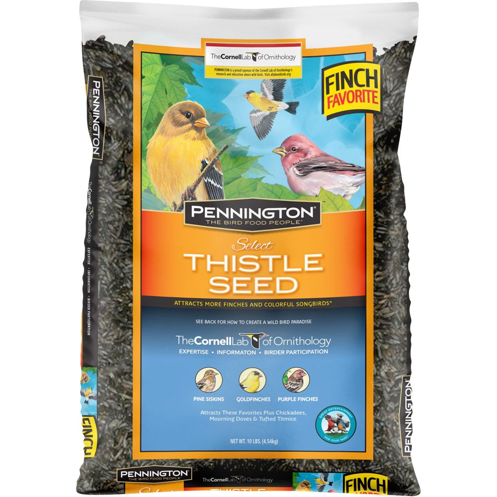 Pennington Select Thistle Seed, Wild Bird Feed and Seed, 20 Lb. Bag Animals & Pet Supplies > Pet Supplies > Bird Supplies > Bird Food CENTRAL GARDEN & PET COMPANY 10 lbs  