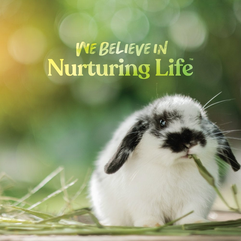 Small World Complete Feed for Rabbits Fortified with Essential Minerals & Vitamins, 5 Lb Animals & Pet Supplies > Pet Supplies > Small Animal Supplies > Small Animal Food Manna Pro   