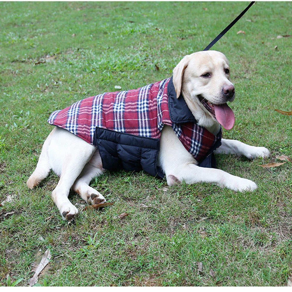 Dog Warm Coat Waterproof Windproof Reversible British Style Plaid Dog Vest Winter Coat Warm Dog Apparel for Cold Weather Dog Jacket for Small Medium Dogs with Furry Collar(M)