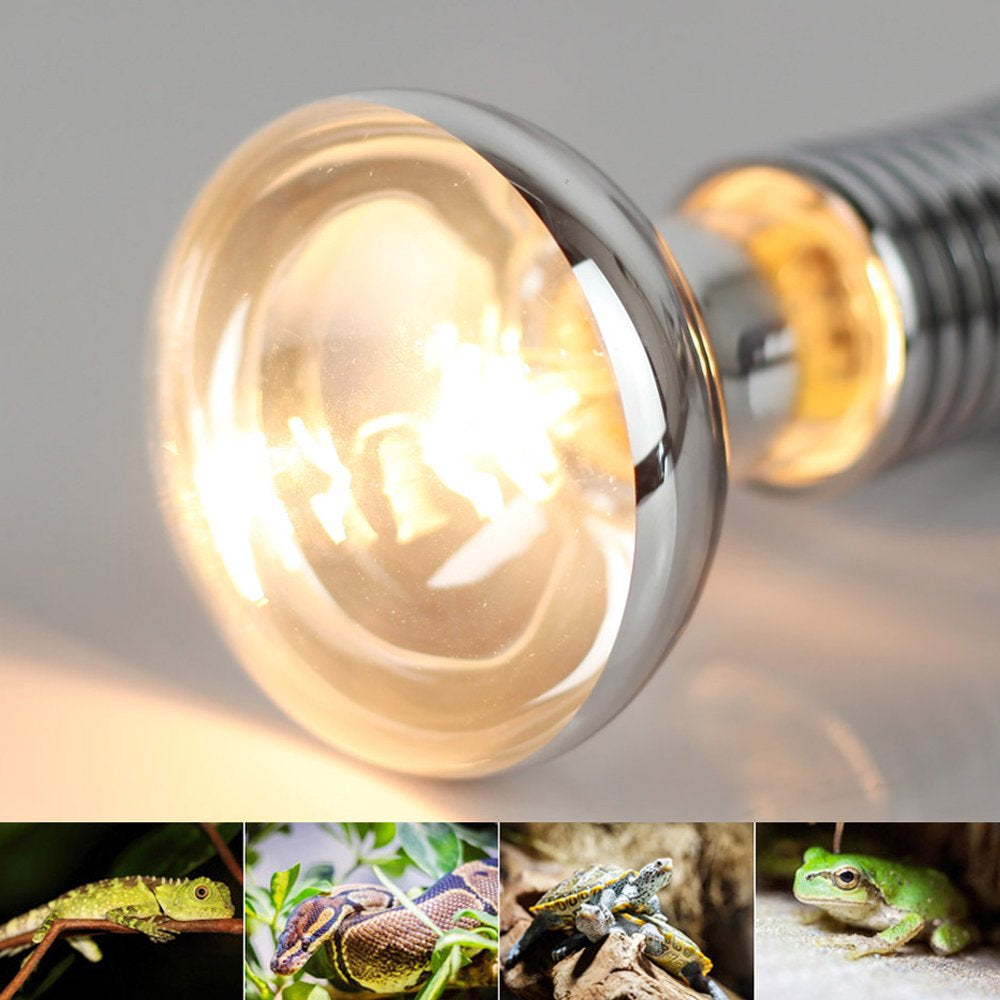 Mgaxyff Mini Pet Warm Heating Emitter Bulb Light Lamp E27 for Turtles Lizard Reptile Amphibian,Pet Warm Bulb,Pet Heating Bulb  Mgaxyff   