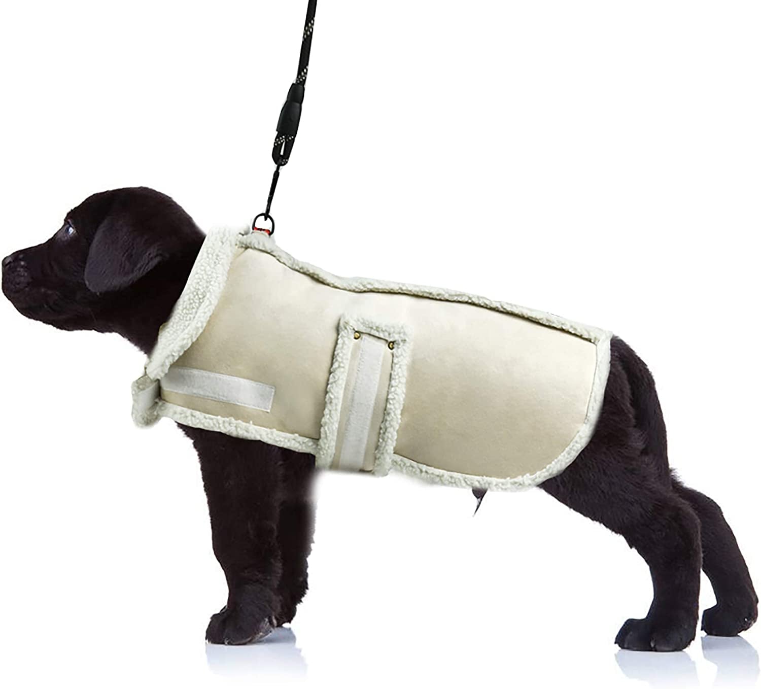 XUANQIFC Dog Winter Jacket, Warm Windproof Dog Sweaters for Small Dogs, Thick Apparelf Fleece Dog Coat for Medium Large Dogs (Large) Animals & Pet Supplies > Pet Supplies > Dog Supplies > Dog Apparel YIWU GEOFAIR IMPORT AND EXPORT CO.,LTD Beige Small 