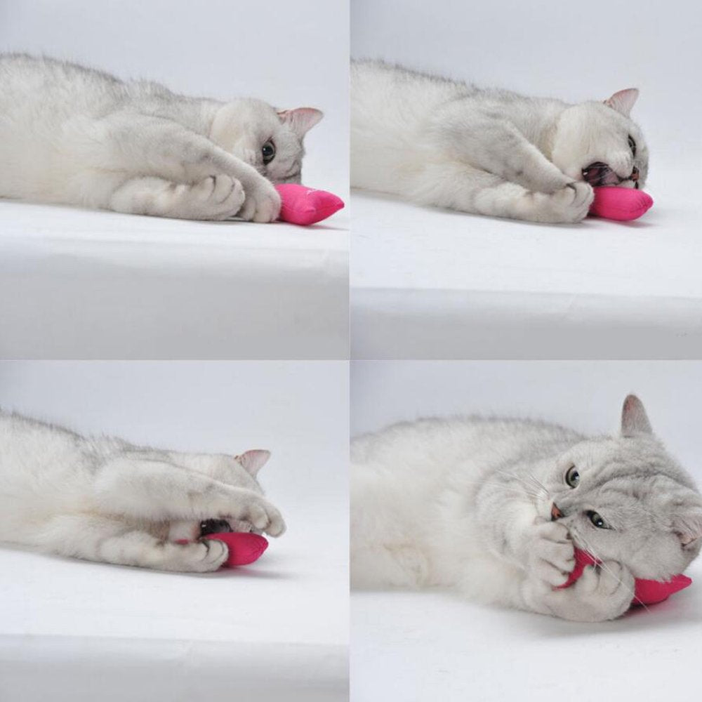 Legendog 5Pcs Cat Chew Toy Bite Resistant Catnip Toys for Cats,Catnip Filled Cartoon Mice Cat Teething Chew Toy Animals & Pet Supplies > Pet Supplies > Cat Supplies > Cat Toys Legendog   
