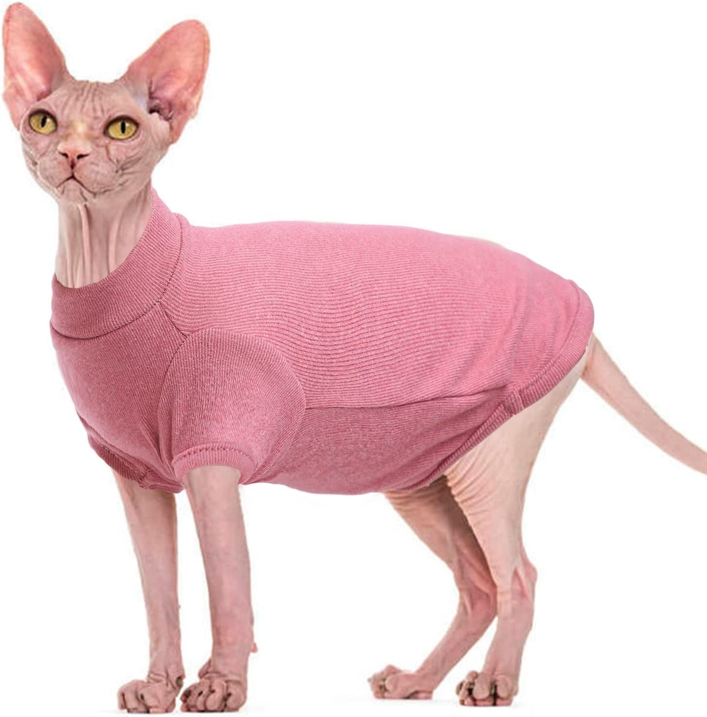 Sphynx Cat Sweater Elegant Warm Hairless Cat Clothing Comfort Winter Dress  Devon