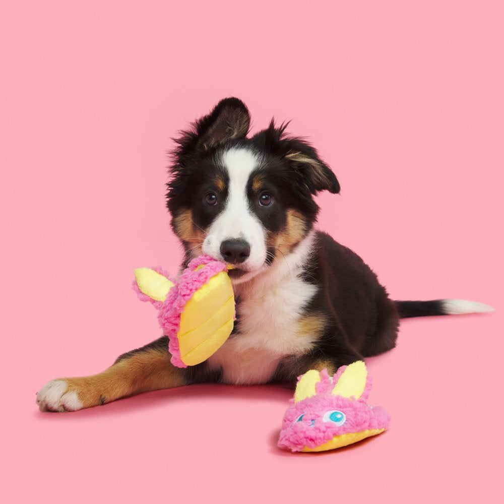 BARK Flopsy and Bobpsy Slippies Dynamic Duo Dog Toys - Barkfest in Bed