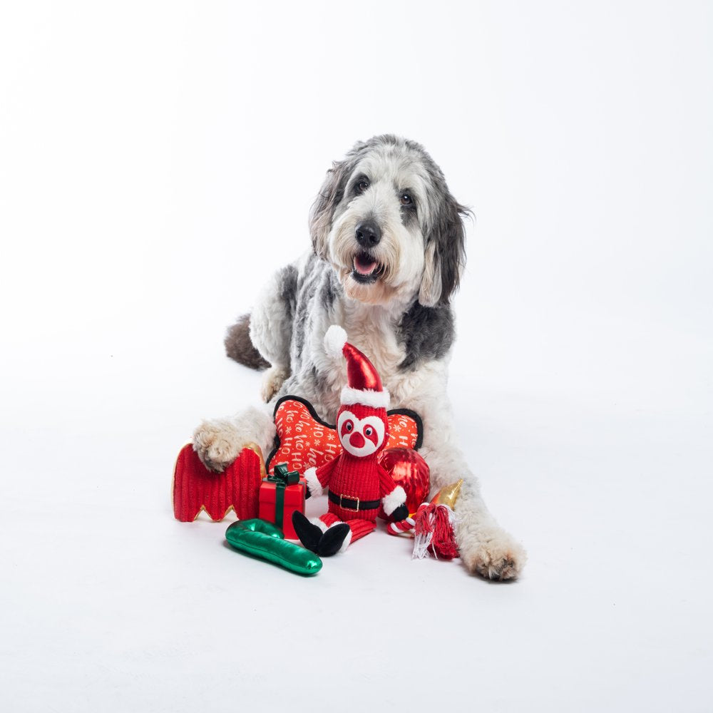 Wag and Wiggle 6 Piece Holiday Dog Toy Set Animals & Pet Supplies > Pet Supplies > Dog Supplies > Dog Toys NA   