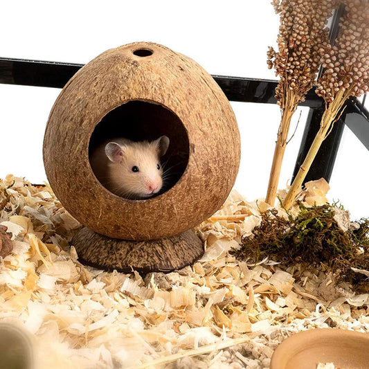 IMSHIE Small Animal Houses Habitats Coconut Shell Pet Hiding House Small Animal Cage Decor Climber for Hamster Gerbils Mice Resting Playing in Style