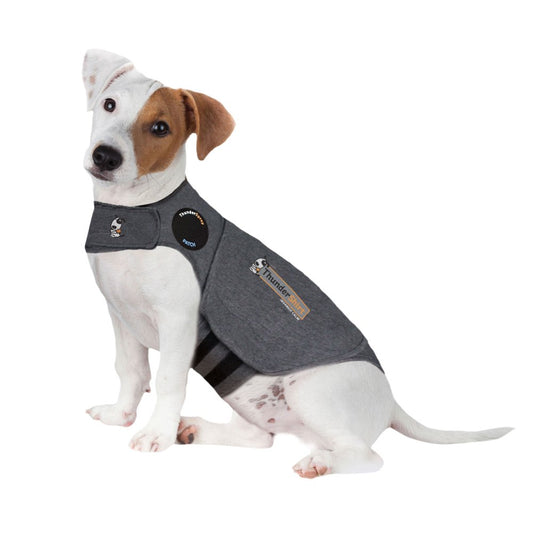 Thundershirt Anxiety Jacket for Dogs, Heather Grey, Small Animals & Pet Supplies > Pet Supplies > Dog Supplies > Dog Apparel ThunderWorks S  